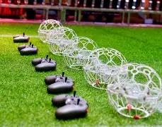 爵士队拟邀,奥斯汀加盟,大发彩票,大发彩票官方网站,大发彩票团队,大发快三彩票,大发彩票体育集团,大发彩票赛事平台,大发彩票直播公司