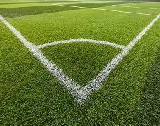 年全国游泳,锦标赛周五,盛大启幕,大发彩票官方网站,大发彩票团队,大发快三彩票,大发彩票体育集团,大发彩票赛事平台,大发彩票直播公司