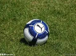 璀璨阵容,广东男篮全,运会精英团,大发彩票官方网站,大发彩票团队,大发快三彩票,大发彩票体育集团,大发彩票赛事平台,大发彩票直播公司