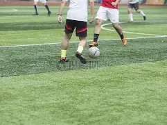 必看攻略,双色球,期独家杀蓝,大发彩票官方网站,大发彩票团队,大发快三彩票,大发彩票体育集团,大发彩票赛事平台,大发彩票直播公司