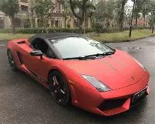 惊喜揭晓,双色球,期独家预测,大发彩票官方网站,大发彩票团队,大发快三彩票,大发彩票体育集团,大发彩票赛事平台,大发彩票直播公司