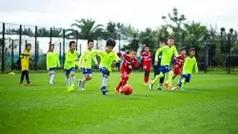 【2025139期双色球预测揭秘】凤尾精选号码：23 & 27，中奖秘籍大放送！