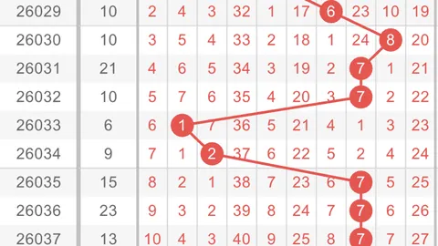 姜小姐福彩3D049期：专家推荐质合分析及前区十码