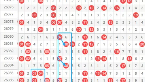 福彩3D2026064期专家推荐质合分析前区十码